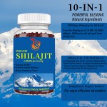 Himalayan Shilajit Gummies Manufacturer - Wholesale Price 10-in-1 Stamina Endurance