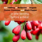 Berberine Capsules Supplier - Private Label Immune System Herbal Extract