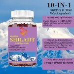 Shilajit Gummies Supplier - Factory Himalaya 200mg Immune Health Herbal