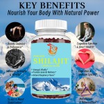 Shilajit Gold Gummies Factory - Good Quality Digestive Immune Healthy Himalaya