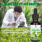 Alfalfa Liquid Drop Manufacturer - 2000mg Organic Immune System Support Adult