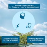 Yerba Mate Powder Supplier - Hot Sale OEM Low Sugar Refreshment Fatigue