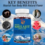 Himalayan Shilajit Gummies Manufacturer - Wholesale Price 10-in-1 Stamina Endurance