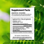 Moringa Leaf Capsules Factory - OEM Natural Green Antioxidant Energy Metabolism