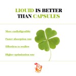 Alfalfa Drops Supplier - OEM Alcohol Free Herbal Tincture Faster Absorption