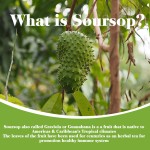 Soursop Softgel Supplier - OEM Factory Supply Immune Function Dietary