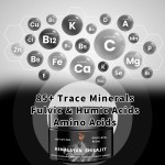 Himalayan Shilajit Resin Manufacturer - Factory Wholesales Metabolism Sports Nutrition