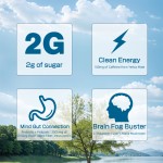 Yerba Mate Powder Factory - High Quality Instant Tea Gut Health Halal 330g