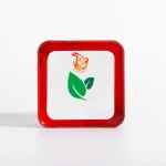 Herbal Slimming Capsules Supplier - Wholesale Adult Weight Loss Appetite Control