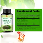 Green Tea Extract Capsules Supplier - OEM Herbal Organic Antioxidant Support