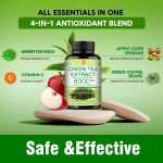 Green Tea Extract Capsules Supplier - OEM Herbal Organic Antioxidant Support