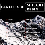 Himalayan Shilajit Resin Manufacturer - Factory Wholesales Metabolism Sports Nutrition
