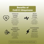COQ10 Capsules Factory - OEM Health Heart Immune Organic Vegan Halal