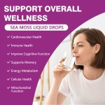 Sea Moss Liquid Drops Manufacturer - Premium Elderberry 7 in 1 Immune Booster