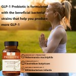 Probiotics Capsules Manufacturer - OEM Formula Digestive Prebiotic Women Men