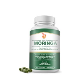 Moringa Leaf Capsules Factory - OEM Natural Green Antioxidant Energy Metabolism