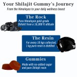 Shilajit Gold Gummies Factory - Factory Supply Himalayan Stamina Strength