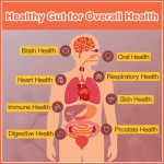 Probiotic Tablets Manufacturer - Private Label 60Billion Digestive System Support