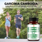 Garcinia Cambogia Capsules Supplier - OEM Energy Production Body Balance Strength