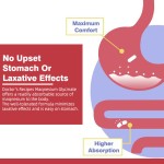 Magnesium Glycinate Capsules Supplier - Private Label Adult Muscles Energy Support