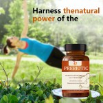 Probiotics Capsules Manufacturer - OEM Formula Digestive Prebiotic Women Men