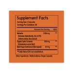 Berberine Capsules Supplier - Private Label Immune System Herbal Extract