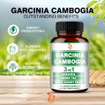 Garcinia Cambogia Capsules Supplier - OEM Energy Production Body Balance Strength