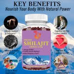Shilajit Gummies Supplier - Factory Himalaya 200mg Immune Health Herbal