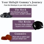 Shilajit Gold Gummies Factory - Factory Supply Stamina Strength Himalayan