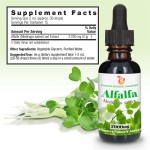 Alfalfa Liquid Drop Manufacturer - 2000mg Organic Immune System Support Adult