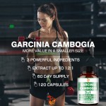 Garcinia Cambogia Capsules Supplier - OEM Energy Production Body Balance Strength