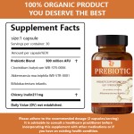 Probiotics Capsules Manufacturer - OEM Formula Digestive Prebiotic Women Men