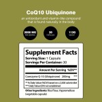 COQ10 Capsules Factory - OEM Health Heart Immune Organic Vegan Halal