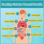 Men Probiotics Capsules Manufacturer - OEM Digestive Immune System Gut Health