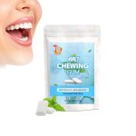 Mint Chewing Gum Manufacturer - Factory Supply Tooth Decay Fruity Fresh Strength