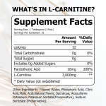 L-Carnitine Liquid Shots Supplier - Custom Label OEM Mixed Berry Motivation Recovery