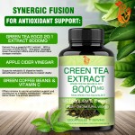 Green Tea Extract Capsules Supplier - OEM Herbal Organic Antioxidant Support