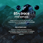 Shilajit Resin Supplier - Good Quality Healthy Metabolism 600mg Herbal