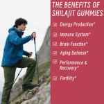 Shilajit Gold Gummies Manufacturer - Wholesale 1400mg Energy Vitality Support