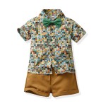 Boy Two-Piece Set Factory - Summer Short Sleeve Flower Beachwear