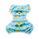 Swim Diapers Supplier - Reusable Snap One Size Adjustable