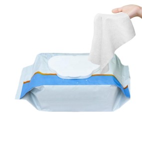 Wet Wipes Manufacturer - Professional China Factory Supply