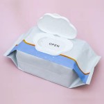 Wet Wipes Manufacturer - Professional China Factory Supply