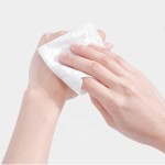 Wet Wipe Supplier - Private Label Soft Toilet Tissue