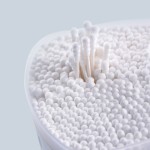 Cotton Swab Supplier - Double Head Makeup Ear Cleaning