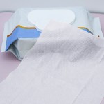 Baby Wipes Supplier - OEM Eco Friendly Non Woven