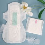 Sanitary Napkin Factory - 290mm White Absorbent Disposable