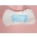 Sanitary Napkin Supplier - Anti Leak Wingless Absorbent