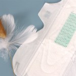 Sanitary Napkin Factory - 290mm White Absorbent Disposable