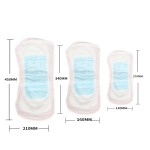 Sanitary Napkin Supplier - Anti Leak Wingless Absorbent
